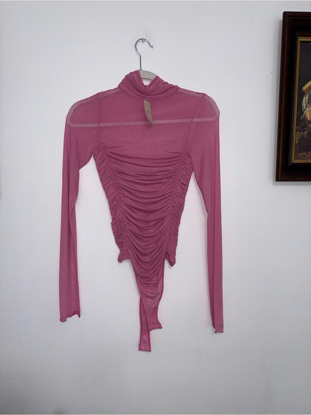 Ruched Sheer Long-Sleeve Bodysuit in Dusty Rose